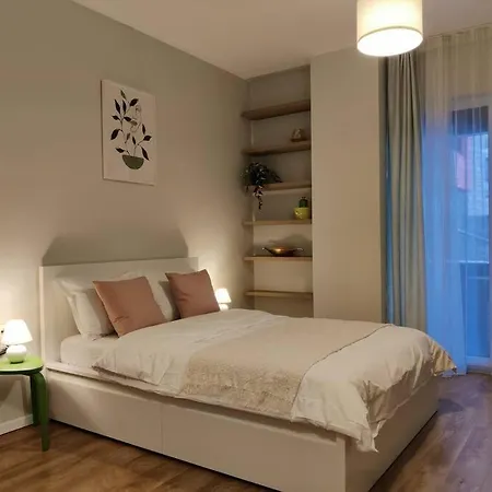 Joy Armoniei 01 * Temešvár