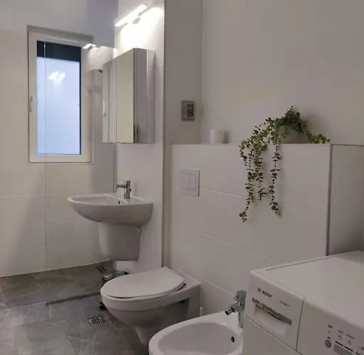 Joy Armoniei 01 Timisoara